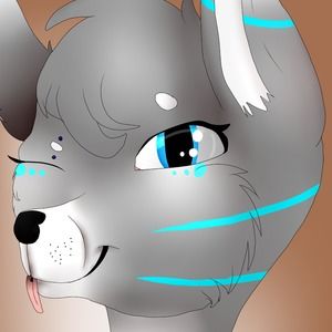 Meet your Posher, Nova